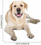 Yellow Labrador Retriever Smiling Wall Decal