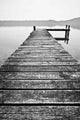 Pierknick Wall Decal