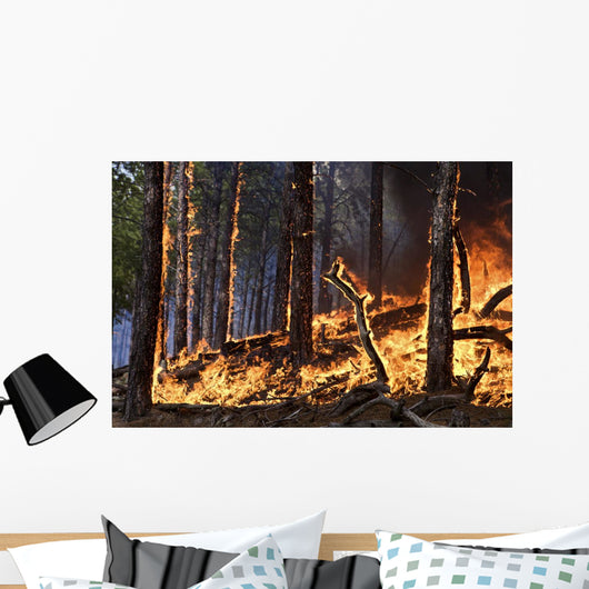 Forest Fire Caused Lightning Wall Mural