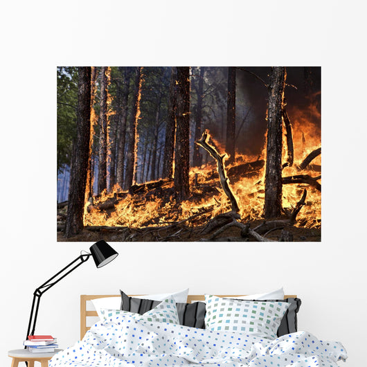 Forest Fire Caused Lightning Wall Mural