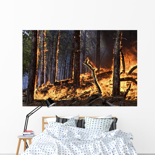 Forest Fire Caused Lightning Wall Mural