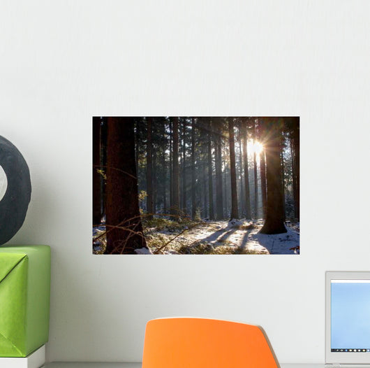 Forest Wall Decal Design 1