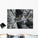 Drift Bridge Wall Decal