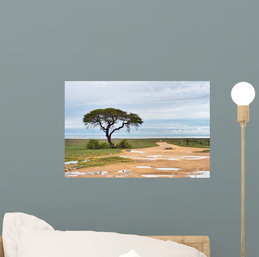 Dirt road to Etosha pan, Namibia Wall Mural
