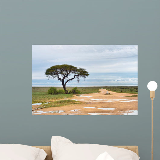 Dirt road to Etosha pan, Namibia Wall Mural