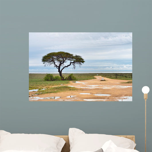 Dirt road to Etosha pan, Namibia Wall Mural