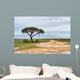Dirt road to Etosha pan, Namibia Wall Mural