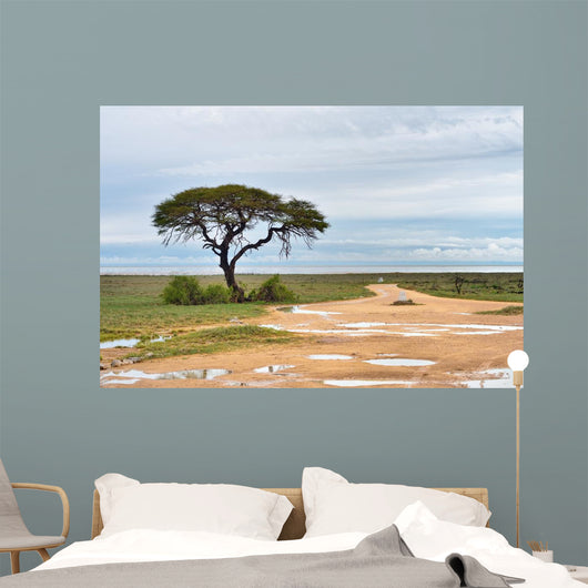 Dirt road to Etosha pan, Namibia Wall Mural