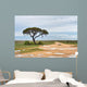 Dirt road to Etosha pan, Namibia Wall Mural