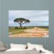 Dirt road to Etosha pan, Namibia Wall Mural