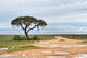 Dirt road to Etosha pan, Namibia Wall Mural