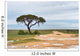 Dirt road to Etosha pan, Namibia Wall Mural