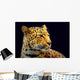 Leopard Wall Mural