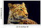 Leopard Wall Mural