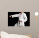 karate black belt martial art Wall Mural