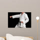 karate black belt martial art Wall Mural
