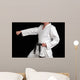 karate black belt martial art Wall Mural