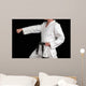 karate black belt martial art Wall Mural