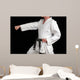 karate black belt martial art Wall Mural