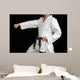 karate black belt martial art Wall Mural