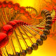 Dna Spiral Wall Mural