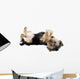 Yorkie Playing Dead Wall Decal