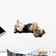 Yorkie Playing Dead Wall Decal