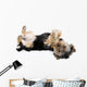 Yorkie Playing Dead Wall Decal