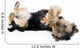 Yorkie Playing Dead Wall Decal