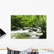 Mountain River with Sunbeam Wall Decal