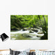 Mountain River with Sunbeam Wall Decal