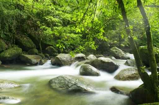 Mountain River with Sunbeam Wall Decal