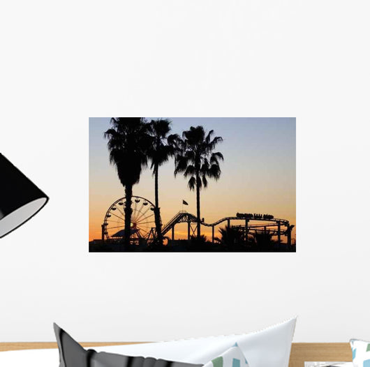 Roller Coaster Wall Decal