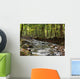Flowing River Wall Mural