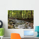 Flowing River Wall Mural