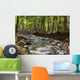 Flowing River Wall Mural