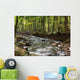Flowing River Wall Mural