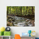 Flowing River Wall Mural