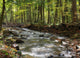 Flowing River Wall Mural
