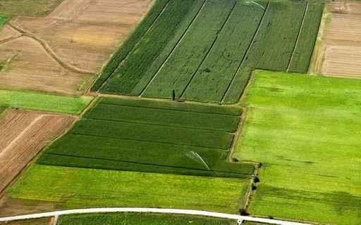 Irrigated Cropland Wall Decal