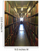 A man studying inside a library in England Wall Mural