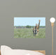 Two Giraffe in Etosha,Namibia Wall Mural