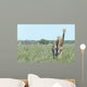 Two Giraffe in Etosha,Namibia Wall Mural
