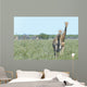Two Giraffe in Etosha,Namibia Wall Mural