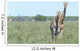 Two Giraffe in Etosha,Namibia Wall Mural