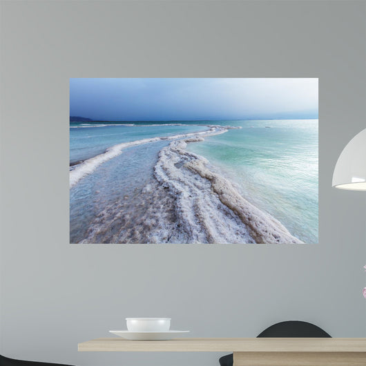 Beautiful Coast Dead Sea Wall Decal