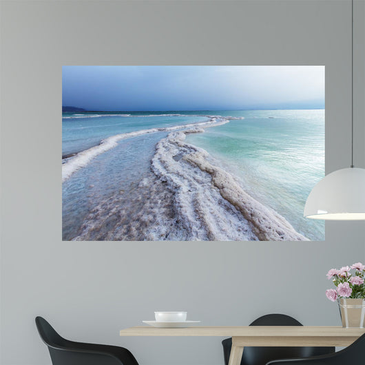 Beautiful Coast Dead Sea Wall Decal