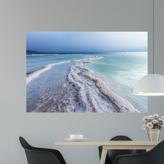 Beautiful Coast Dead Sea Wall Decal