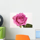 Rose with droplets Wall Mural
