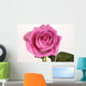 Rose with droplets Wall Mural